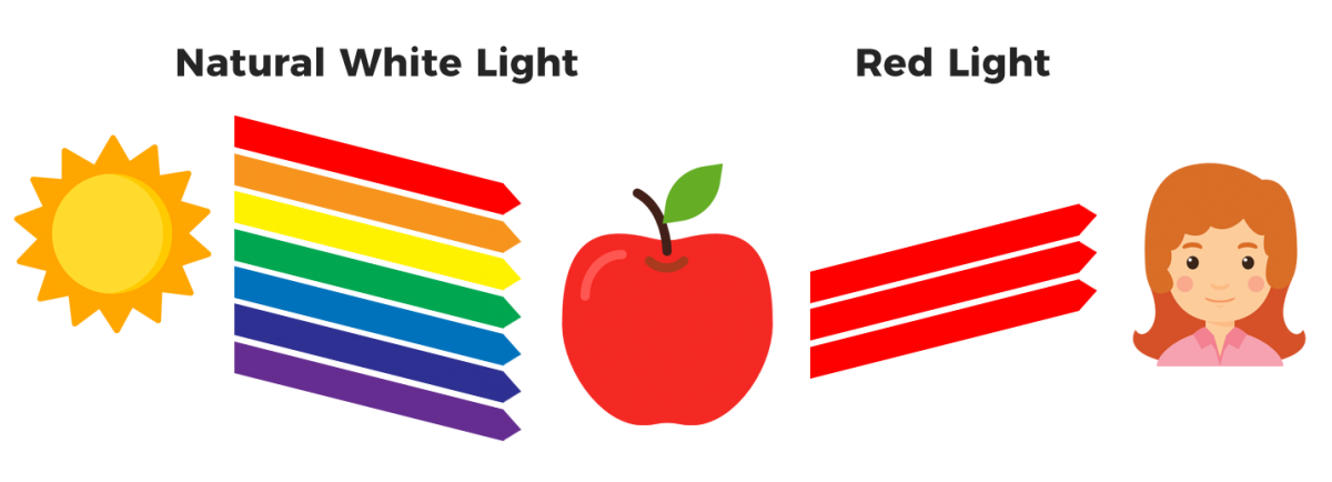 graphic image of sun shining rainbow of colors on an apple which is reflecting red light to a drawing of a girl